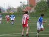 Cekia 523