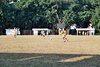 Cuba matchs 046