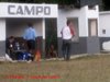 Cuba matchs 116