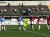 Scambio gagliardetti